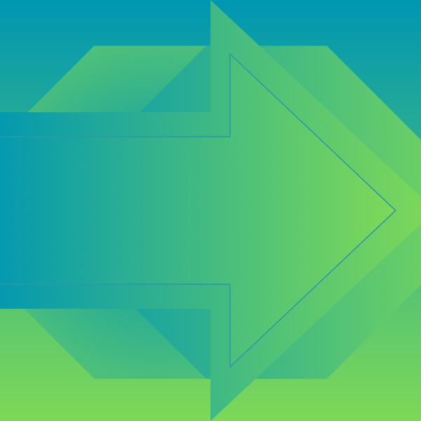 WordPress 6.9.1 Yayınlandı