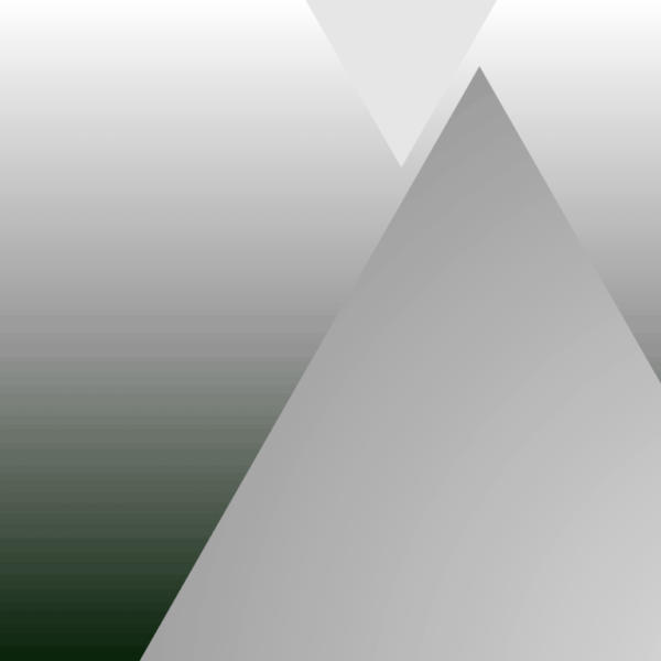 Punycode: İnternetin Çokdilli Kimlik Kartı